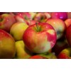 Apples - 1 Kg