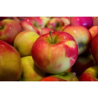 Apples - 1 Kg