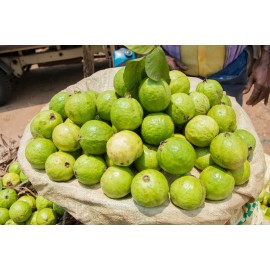 Guava - 1 Kg