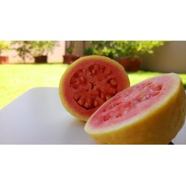 Guava - 1 Kg