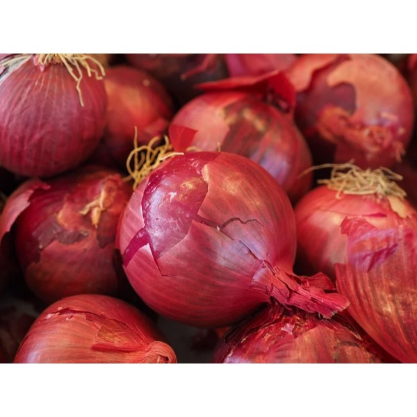 Onions - 1 Kg