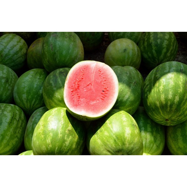 Watermelon - 1 Kg