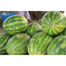 Watermelon - 1 Kg